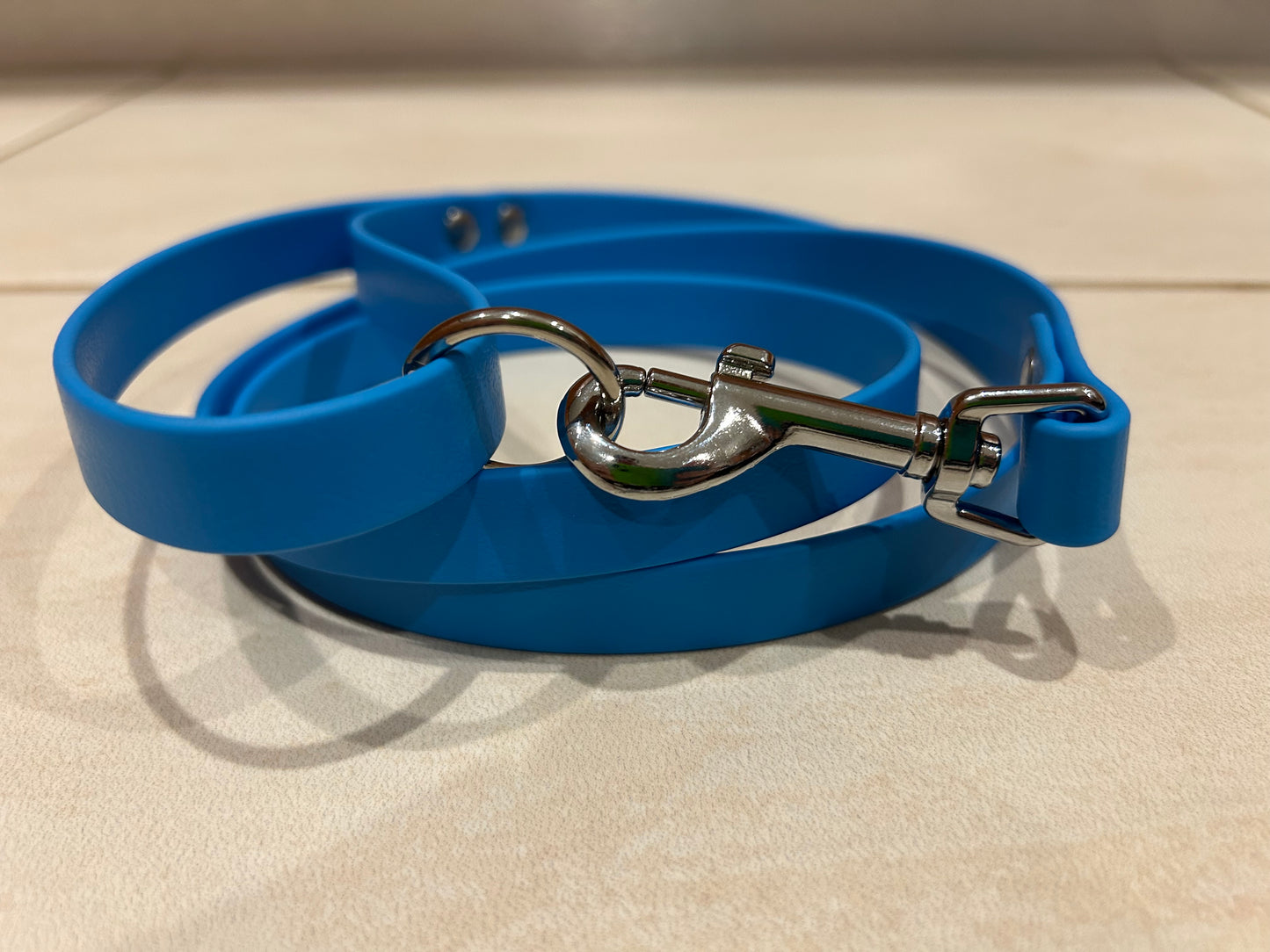 6ft BioThane Dog Leash