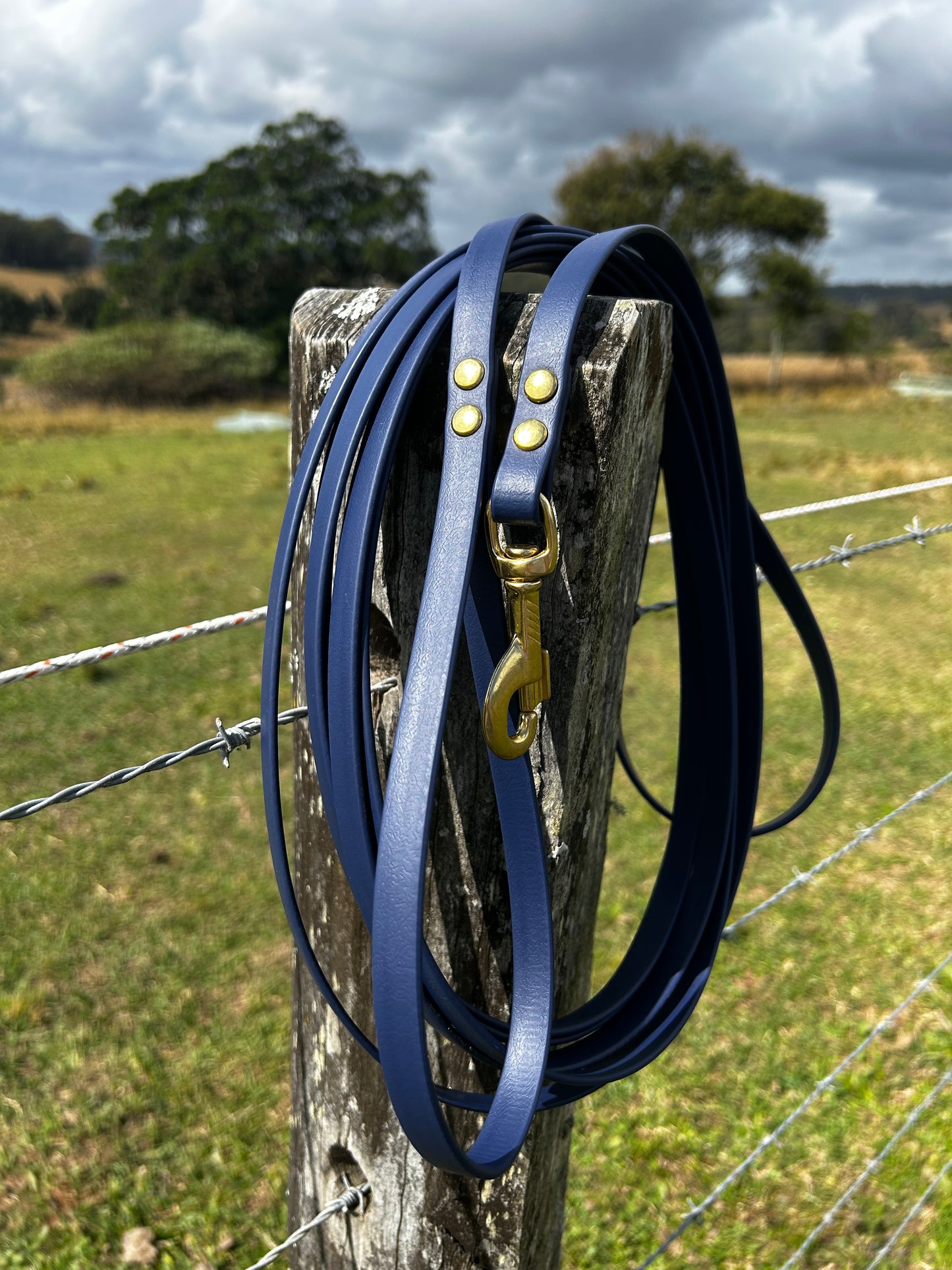 5m + BioThane Long Line