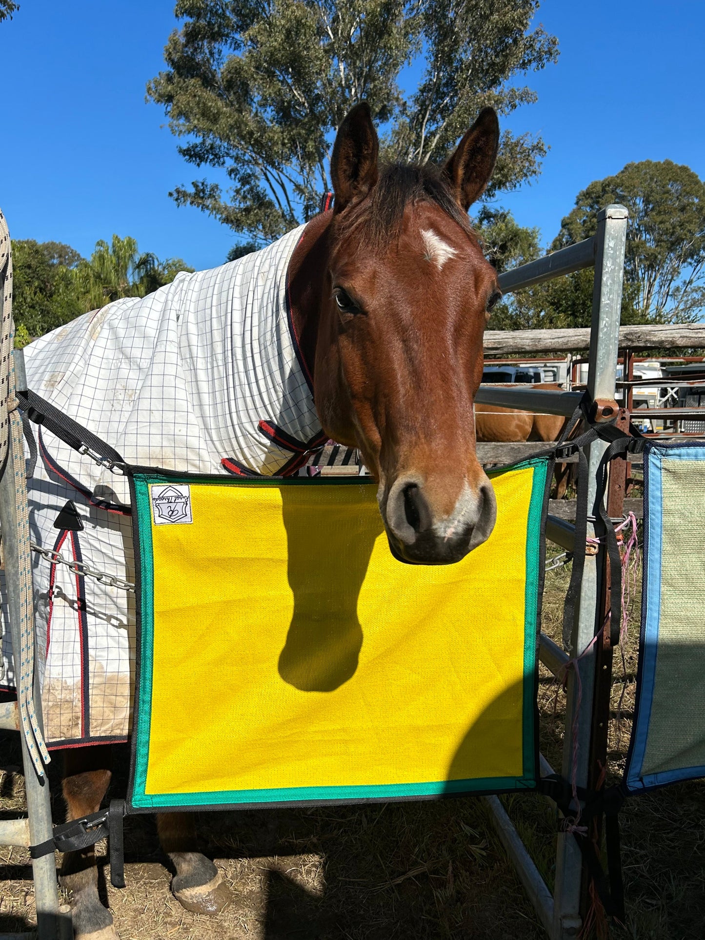 Yellow shadecloth with green and black binding 