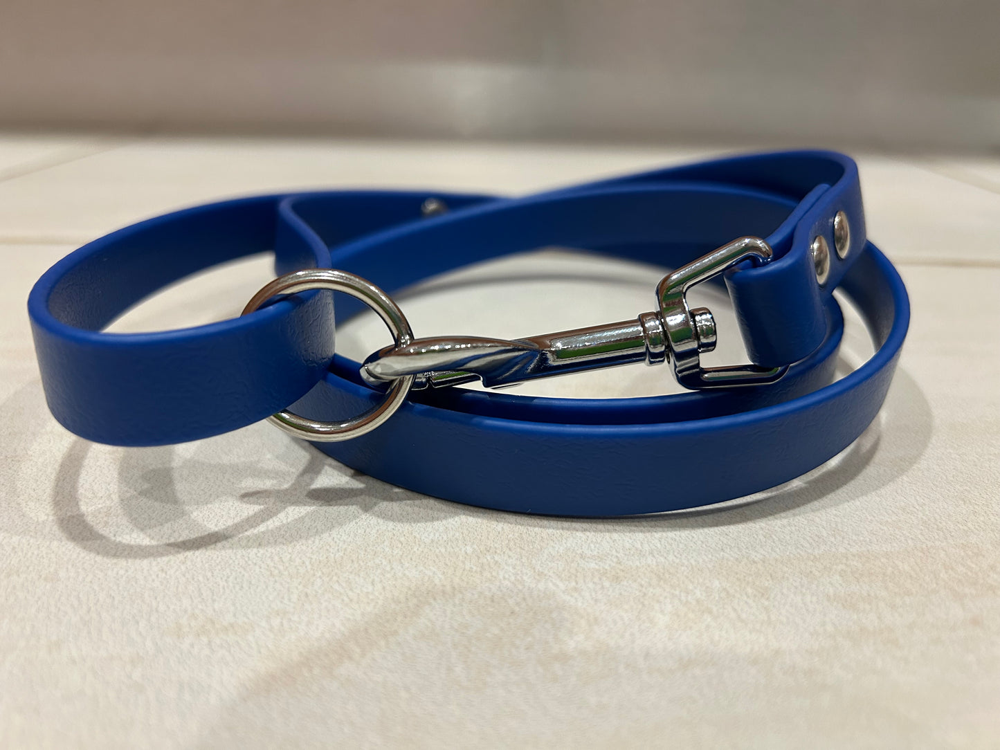 6ft BioThane Dog Leash