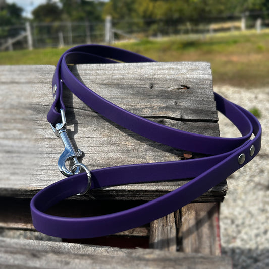 4ft BioThane Dog Leash