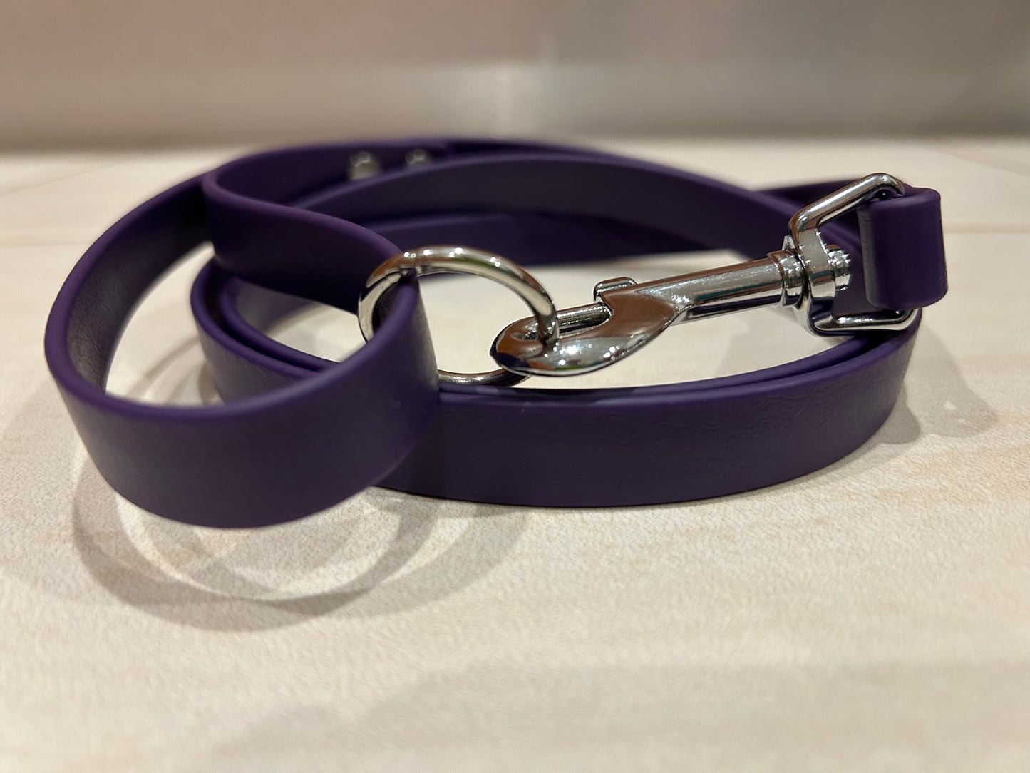 6ft BioThane Dog Leash