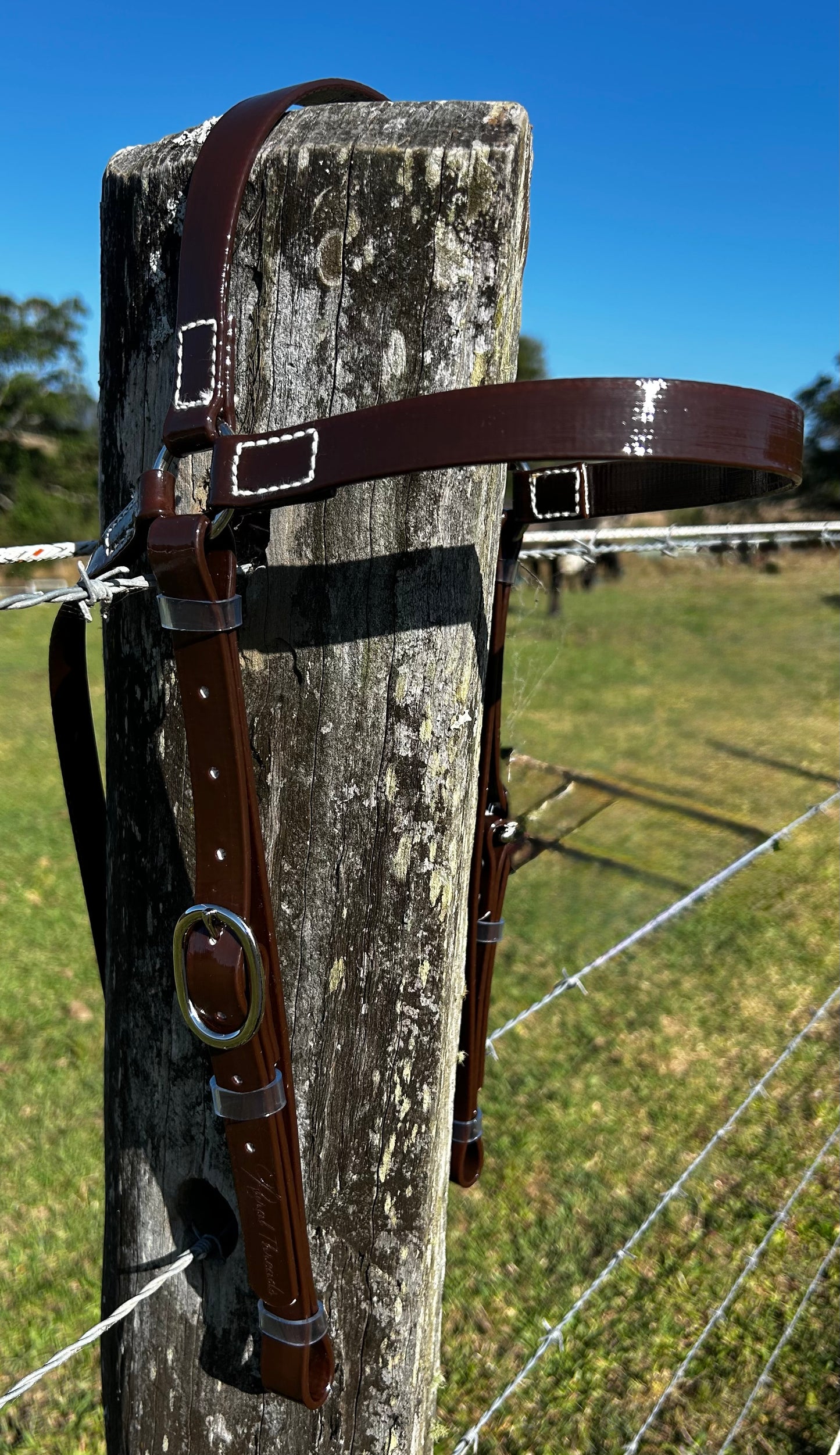 PVC Barcoo Bridle