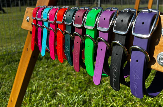 BioThane Standard Dog Collar