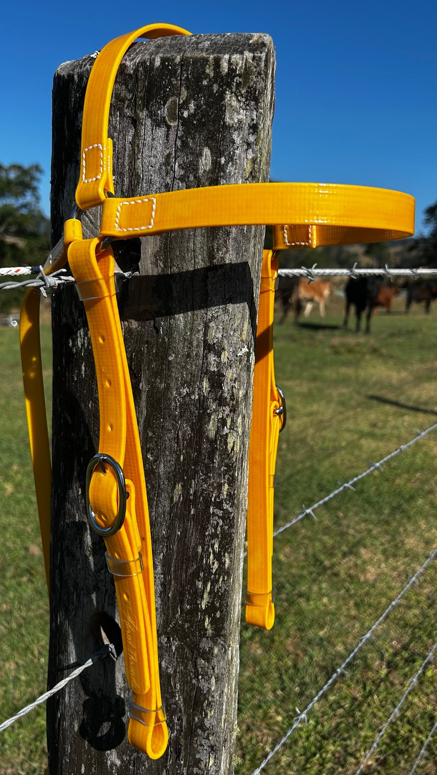 PVC Barcoo Bridle