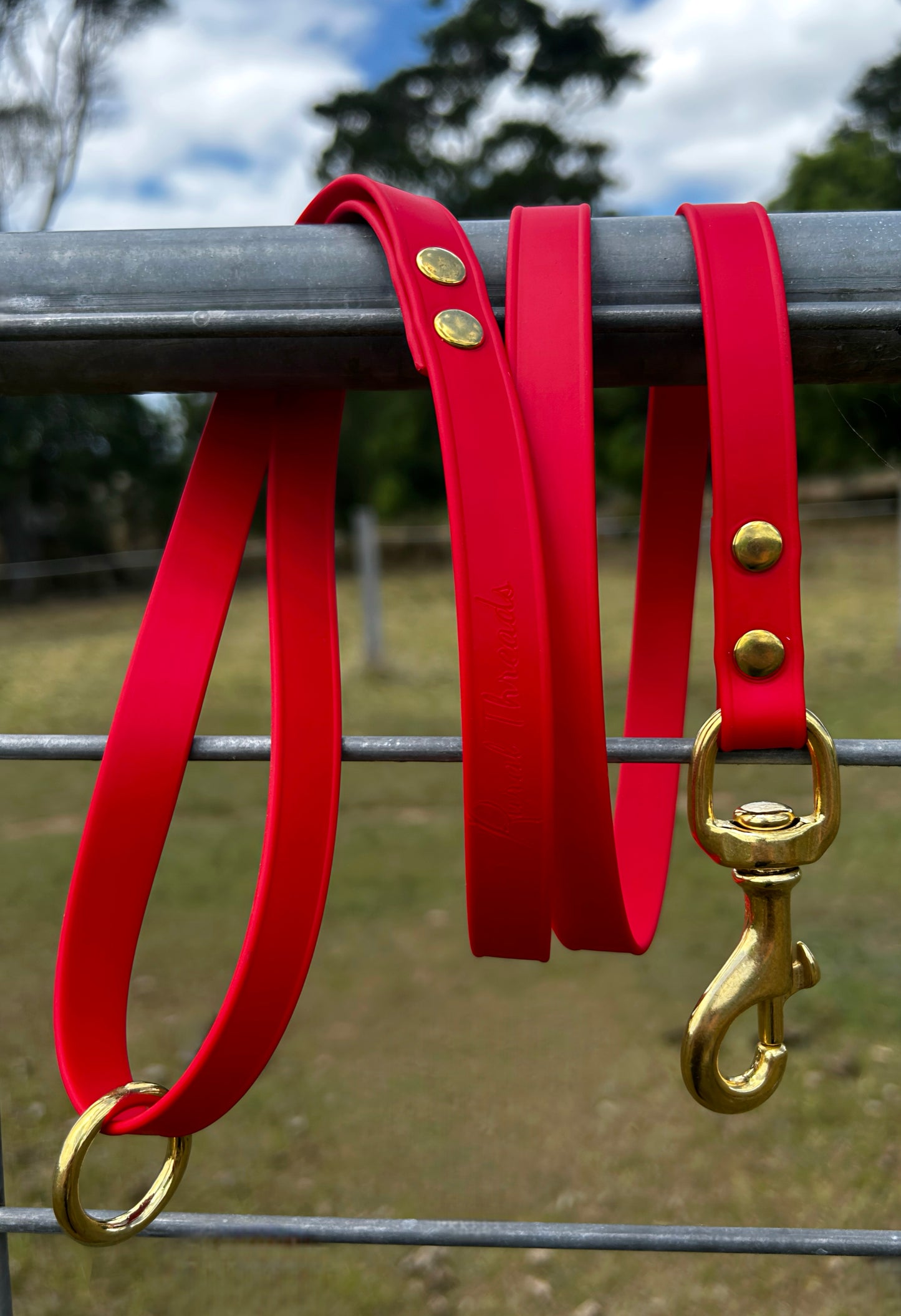 4ft BioThane Adjustable Dog Leash