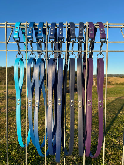 6ft BioThane Dog Leash