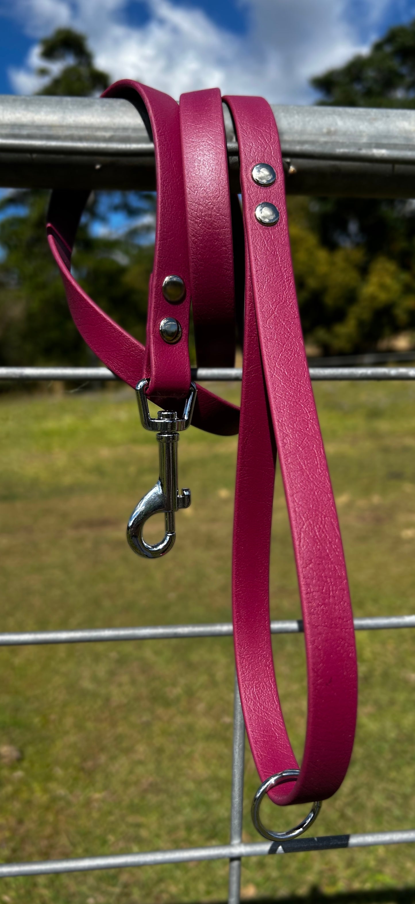 4ft BioThane Dog Leash