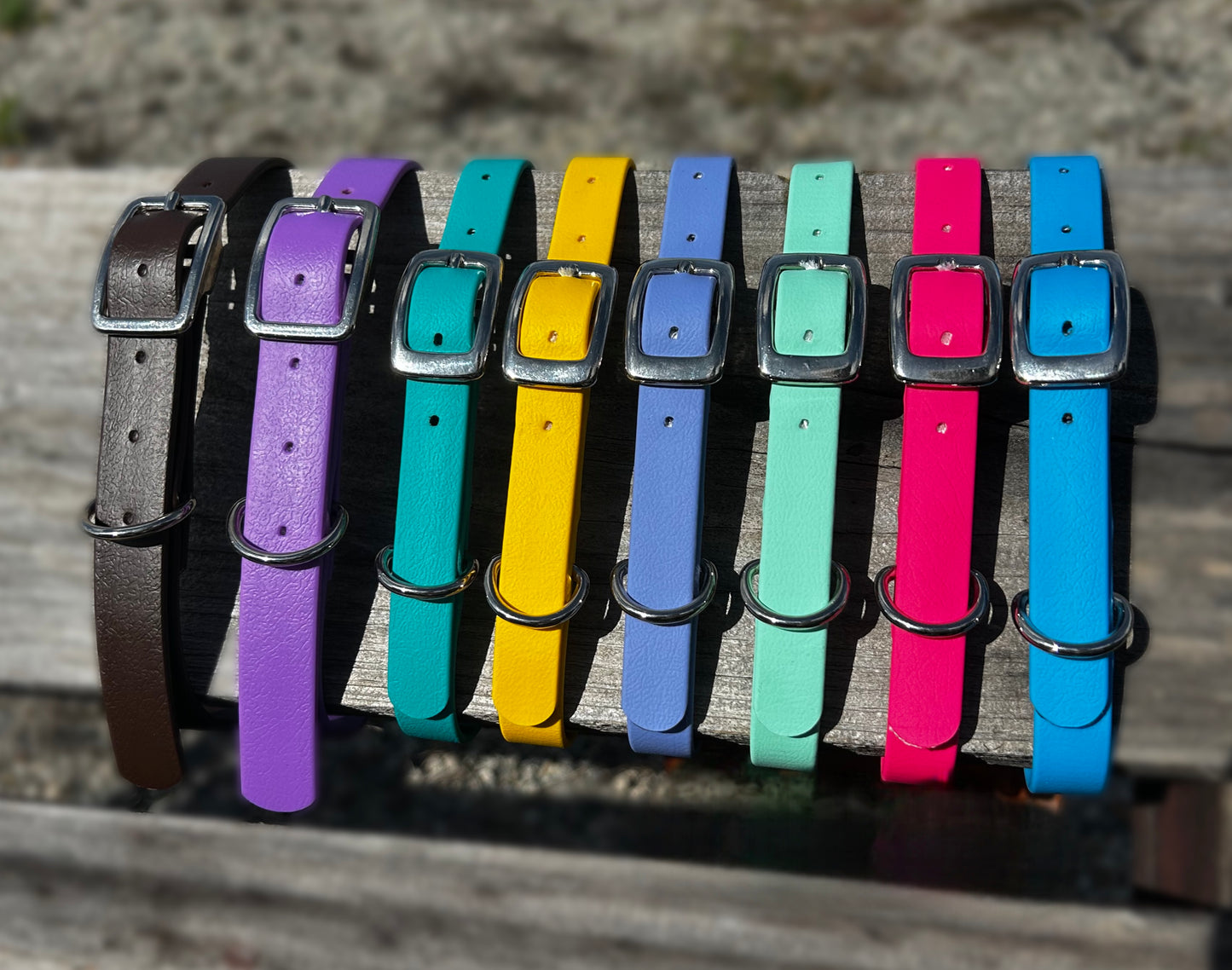 BioThane Standard Dog Collar