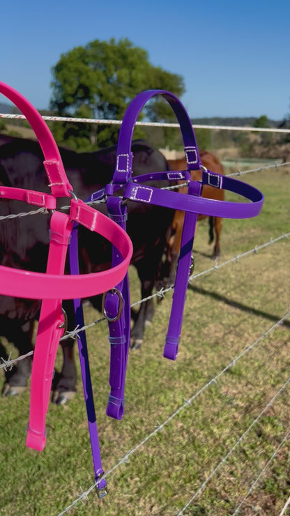 PVC Barcoo Bridle
